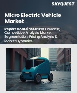 Global Micro Electric Vehicle Market