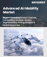 Global Advanced Air Mobility Market