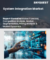 Global System Integration Market