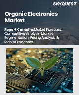 Global Organic Electronics Market