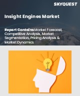 Global Insight Engines Market