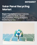 Global Solar Panel Recycling Market