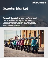 Global Scooter Market