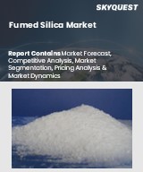 Global Fumed Silica Market