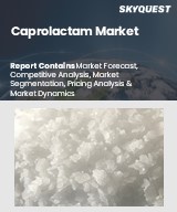 Global Caprolactam Market