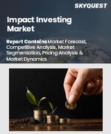 Global Impact Investing Market