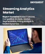 Global Streaming Analytics Market