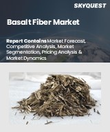 Global Basalt Fiber Market