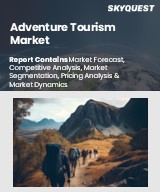 Global Adventure Tourism Market