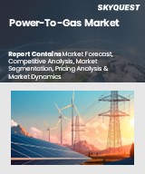 Global Power-To-Gas Market