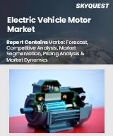 Global Electric Vehicle Motor Market