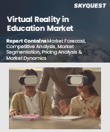 Global Virtual Reality in Education Market