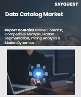 Global Data Catalog Market