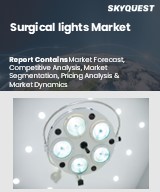 Global Surgical Lights Market