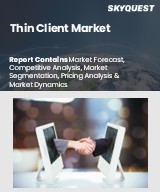 Global Thin Client Market