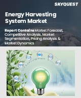Global Energy Harvesting System Market