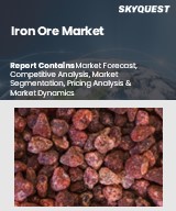Global Iron Ore Market