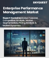 Global Enterprise Performance Management Market