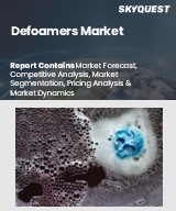 Global Defoamers Market