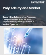 Global Polyisobutylene Market