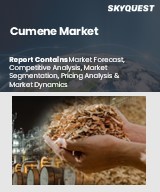 Global Cumene Market