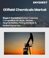 Global Oilfield Chemicals Market
