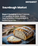 Global Sourdough Market