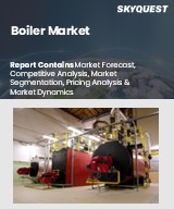 Global Boiler Market