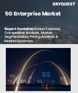 Global 5G Enterprise Market
