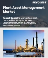 Global Plant Asset Management Market