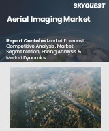 Global Aerial Imaging Market