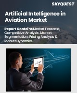 Global Artificial Intelligence in Aviation Market
