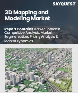 Global 3D Mapping and Modeling Market