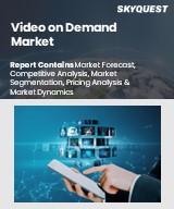Global Video on Demand Market
