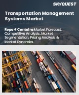 Global Transportation Management System Market