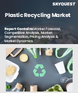 Global Plastic Recycling Market