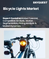 Global Bicycle Lights Market