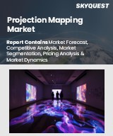 Global Projection Mapping Market