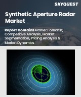 Global Synthetic Aperture Radar Market
