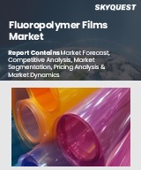 Global Fluoropolymer Films Market