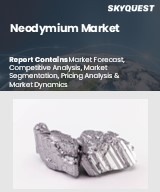 Global Neodymium Market