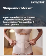 Global Shapewear Market