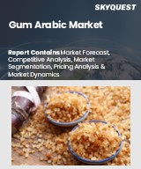 Global Gum Arabic Market