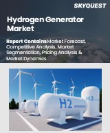 Global Hydrogen Generator Market