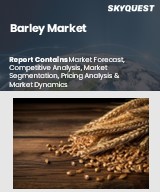 Global Barley Market