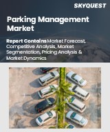 Global Parking Management Market