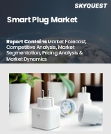 Global Smart Plug Market
