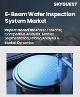Global E-Beam Wafer Inspection System Market