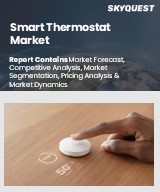 Global Smart Thermostat Market