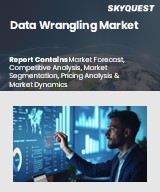 Global Data Wrangling Market